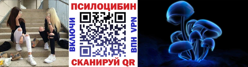 Псилоцибиновые грибы мицелий  Калининск 